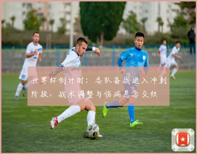 世界杯倒计时:各队备战进入冲刺阶段,战术调整与伤病悬念交织