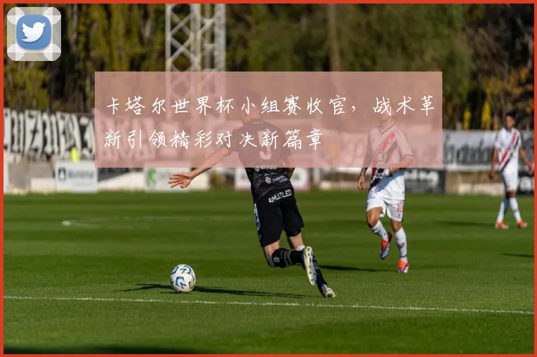 卡塔尔世界杯小组赛收官,战术革新引领精彩对决新篇章